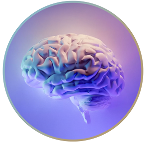 Ilustración del área de Psicología: cerebro humano